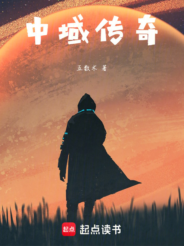 中域传奇封面