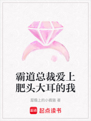 霸道总裁爱上肥头大耳的我