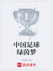 中国足球绿茵梦