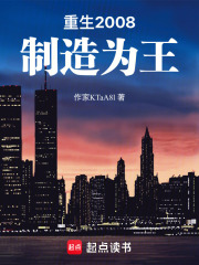 重生2008