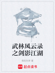 武林风云录之剑影江湖在线阅读