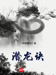 潜龙诀在线阅读