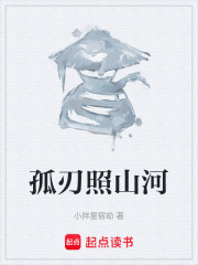 孤刃照山河在线阅读