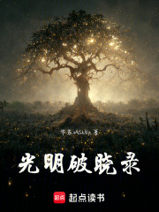光明破晓录在线阅读