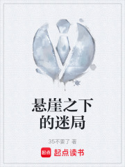 悬崖之下的迷局在线阅读