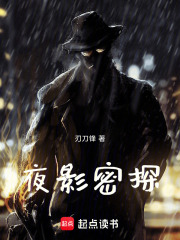 夜影密探在线阅读