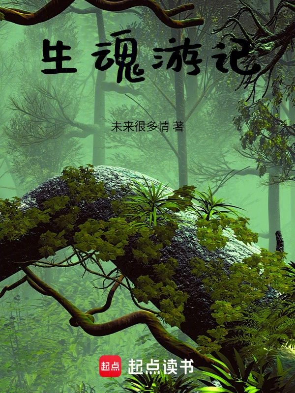 生魂游记