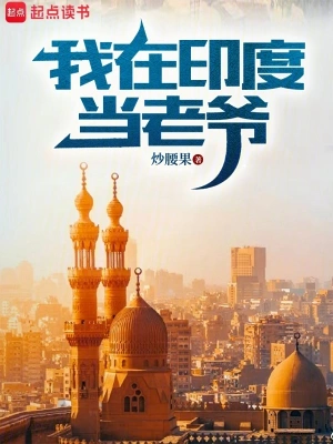 《我在印度当老爷》（精校全本）作者：炒腰果【TXT】