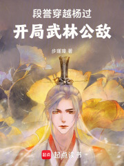 段誉穿越杨过，开局武林公敌