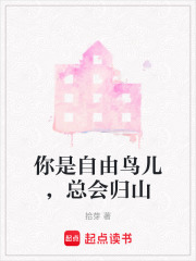 你是自由鸟儿，总会归山在线阅读