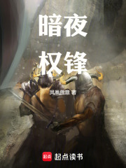 暗夜权锋在线阅读