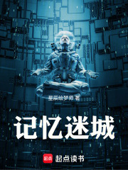 记忆迷城在线阅读