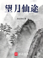 望月仙途封面