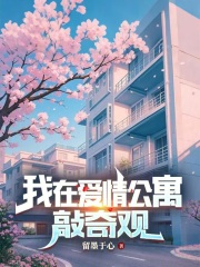 我在爱情公寓敲奇观