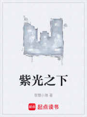 紫光之下