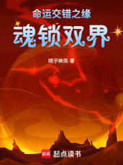 命运交错之缘：魂锁双界在线阅读