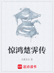 惊鸿楚霁传在线阅读