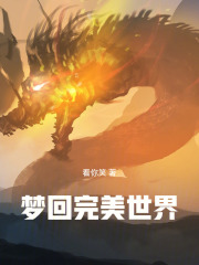 梦回完美世界
