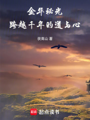 金华秘光：跨越千年的道与心在线阅读
