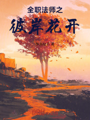 全职法师之