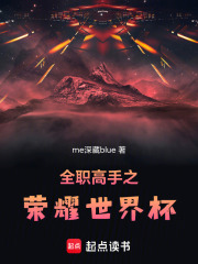 全职高手之荣耀