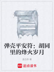 弹壳平安符：胡同里的烽火岁月在线阅读