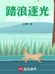 踏浪逐光在线阅读