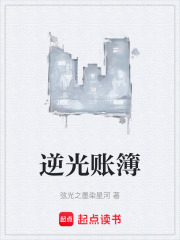 逆光账簿在线阅读