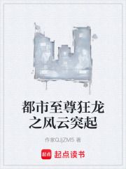 都市至尊狂龙之风云突起在线阅读