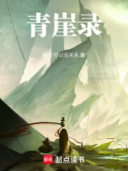 青崖录在线阅读
