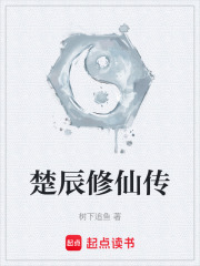 楚辰修仙传在线阅读