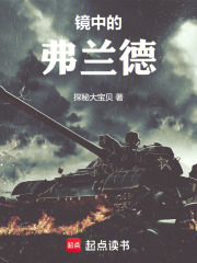 镜中的弗兰德在线阅读