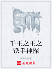 千王之王之铁手神探在线阅读