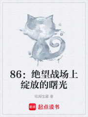 86：绝望战场上绽放的曙光