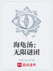 海龟汤：无限谜团