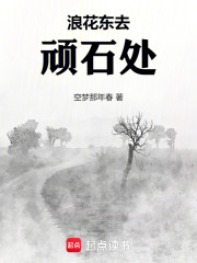 浪花东去顽石处