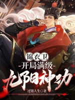 锦衣卫：开局满级九阳神功封面