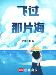 飞过那片海在线阅读