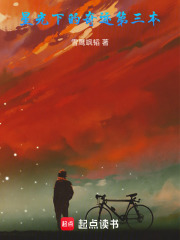 星光下的奇迹第一部在线阅读