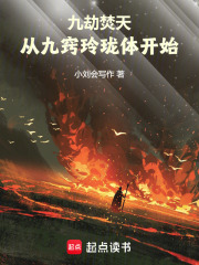 九劫焚天：从九窍玲珑体开始