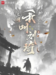 三国我叫刘琦