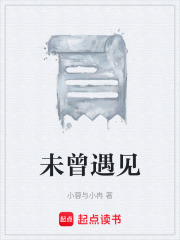 未曾遇见在线阅读
