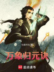 万象归元诀在线阅读