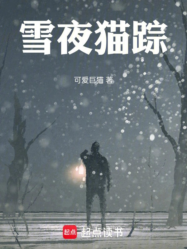 雪夜猫踪