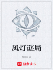 风灯谜局在线阅读