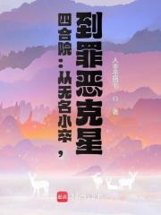 四合院：从无名小卒，到罪恶克星在线阅读