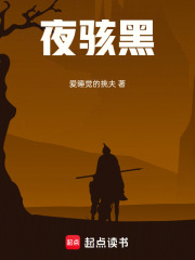 夜骇黑在线阅读