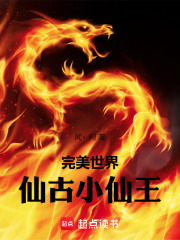 完美世界同人文