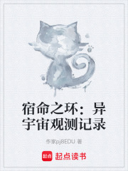 宿命之环：异宇宙观测记录