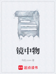 镜中物在线阅读
